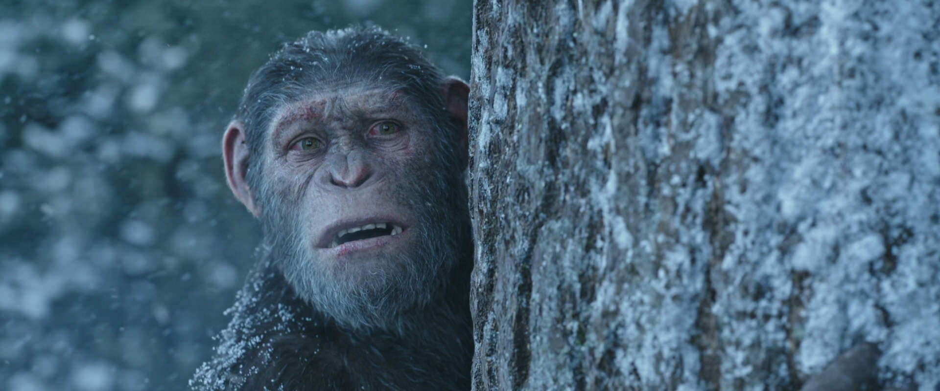 War for the Planet of the Apes (2017) HD screenshot 14888