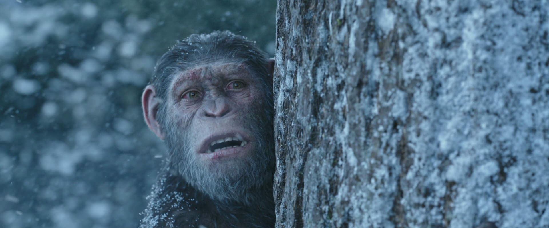 War for the Planet of the Apes (2017) screencap 14889
