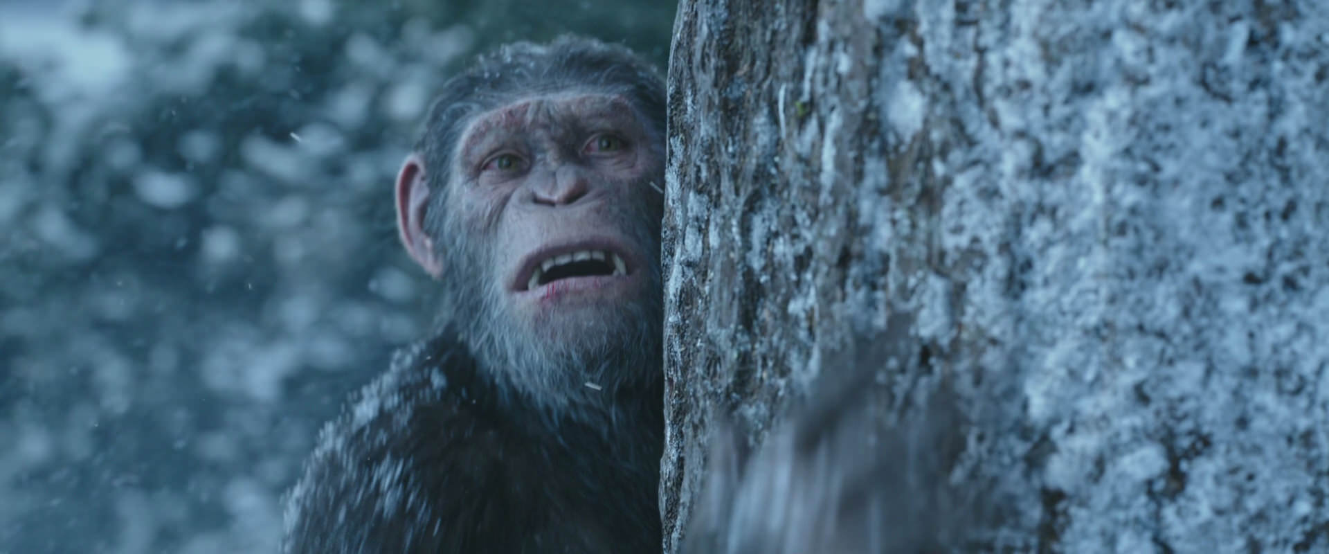 War for the Planet of the Apes (2017) movie still 14890