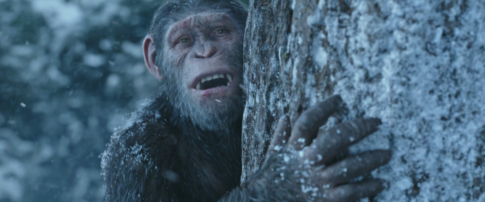 War for the Planet of the Apes (2017) HD screenshot 14891