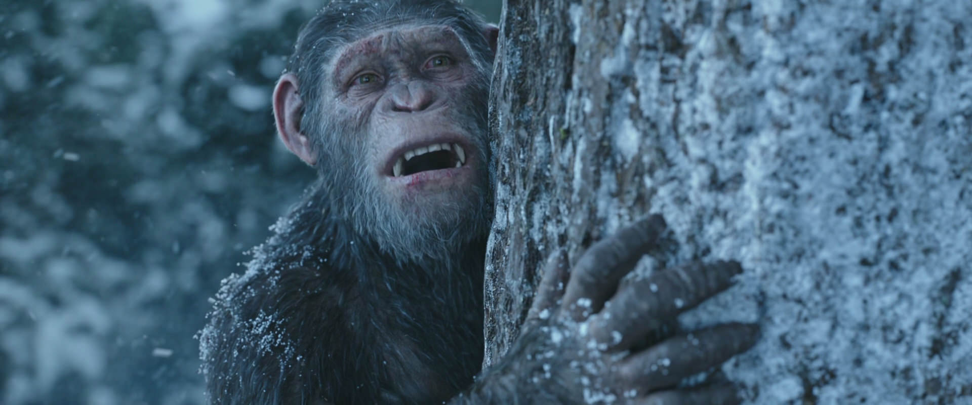 War for the Planet of the Apes (2017) screencap 14892