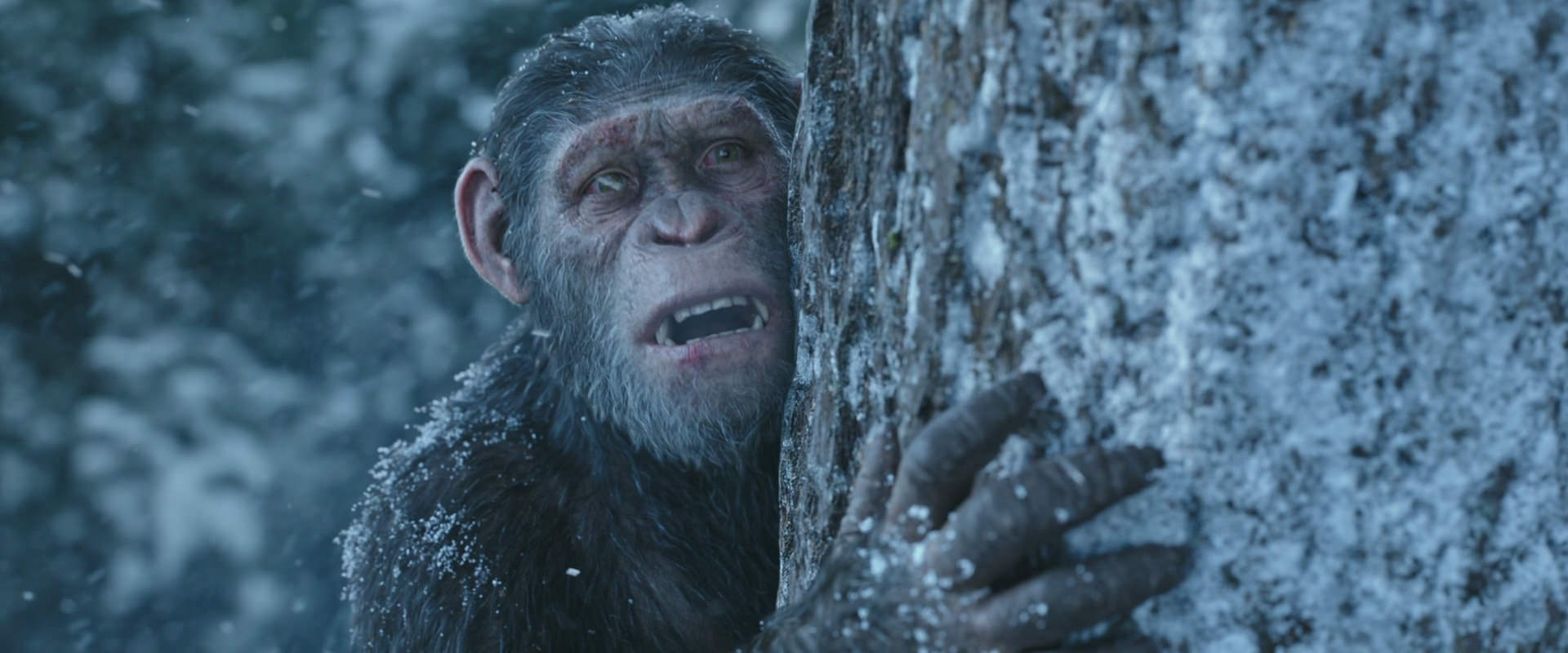 War for the Planet of the Apes (2017) movie still 14893