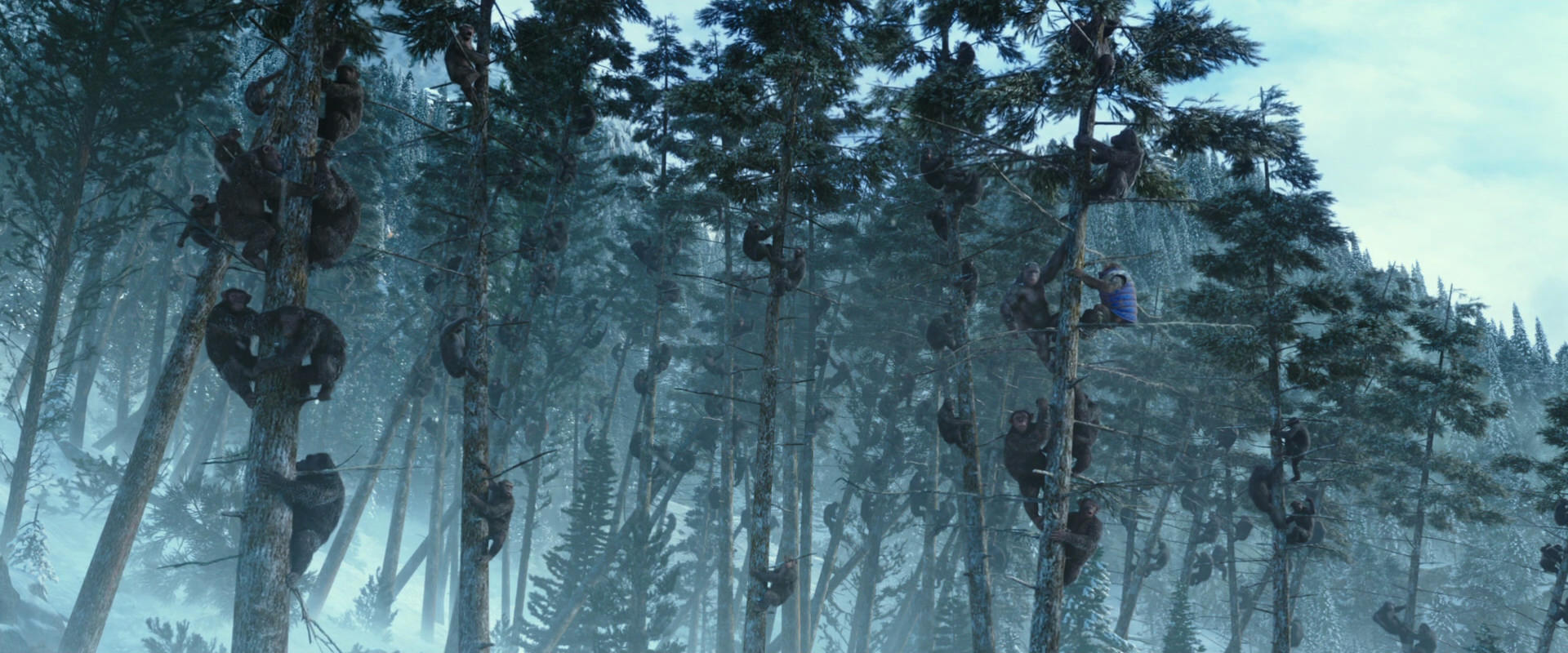 War for the Planet of the Apes (2017) HD screenshot 14894