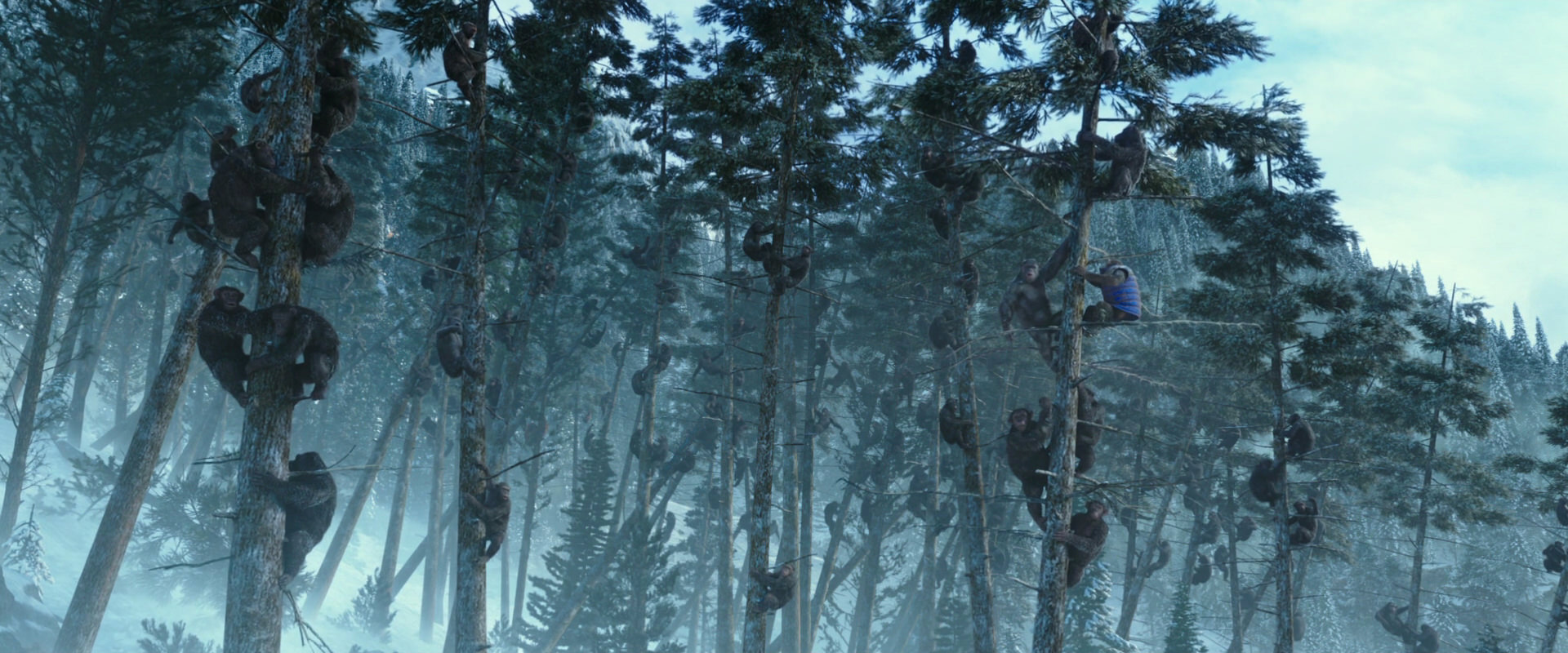 War for the Planet of the Apes (2017) screencap 14895