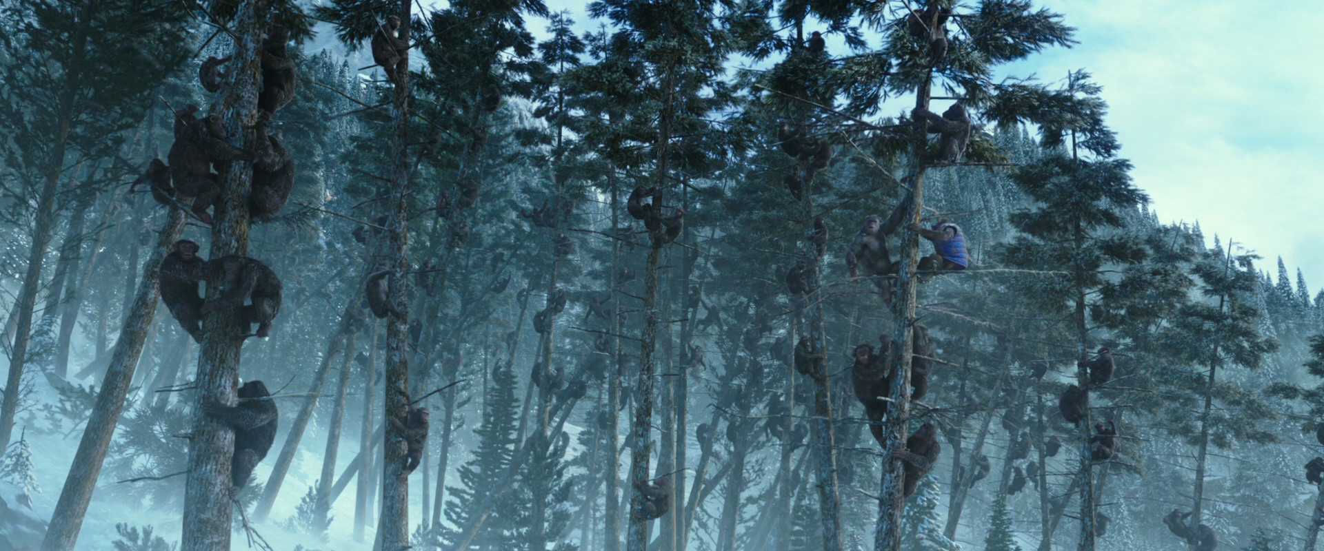 War for the Planet of the Apes (2017) movie still 14896
