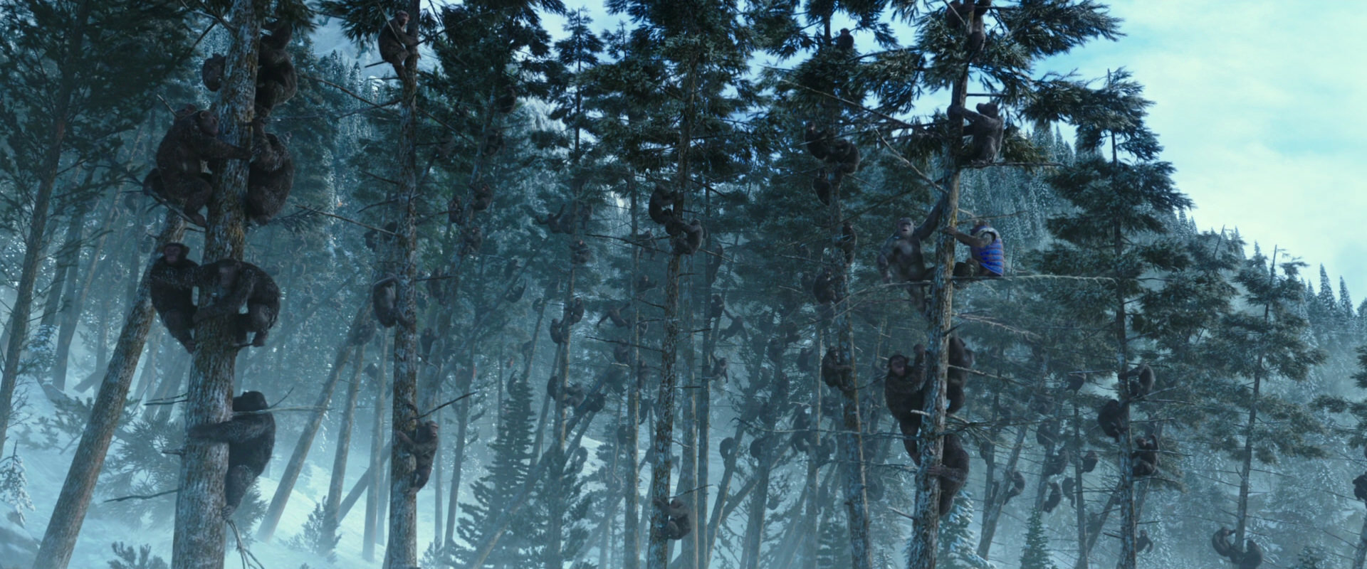 War for the Planet of the Apes (2017) screencap 14898
