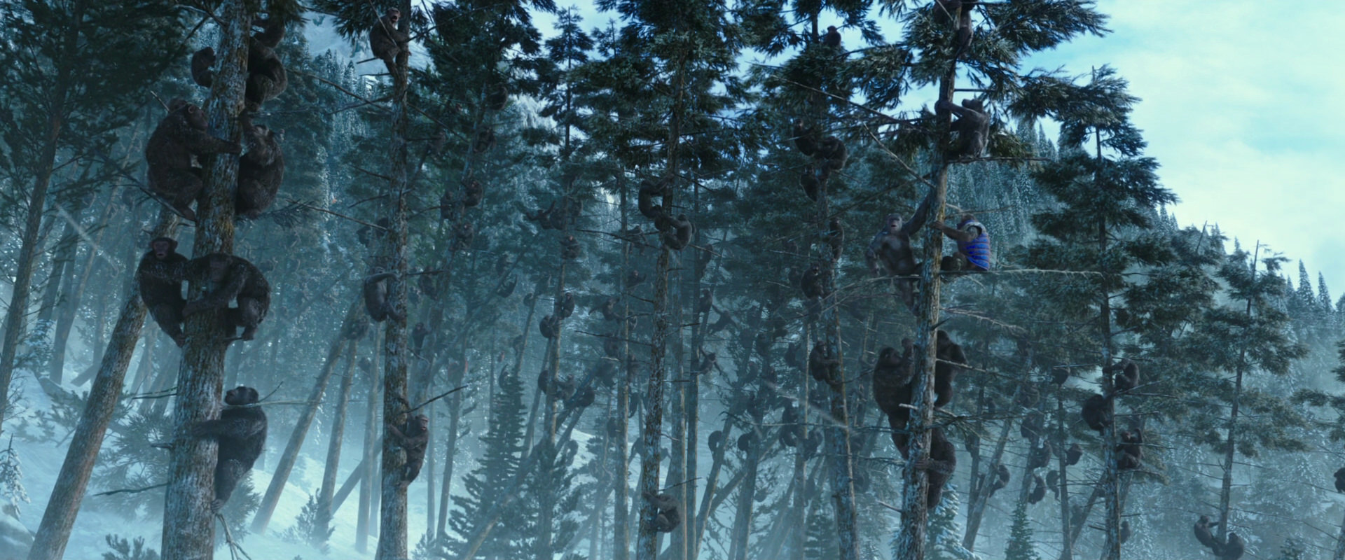 War for the Planet of the Apes (2017) movie still 14899