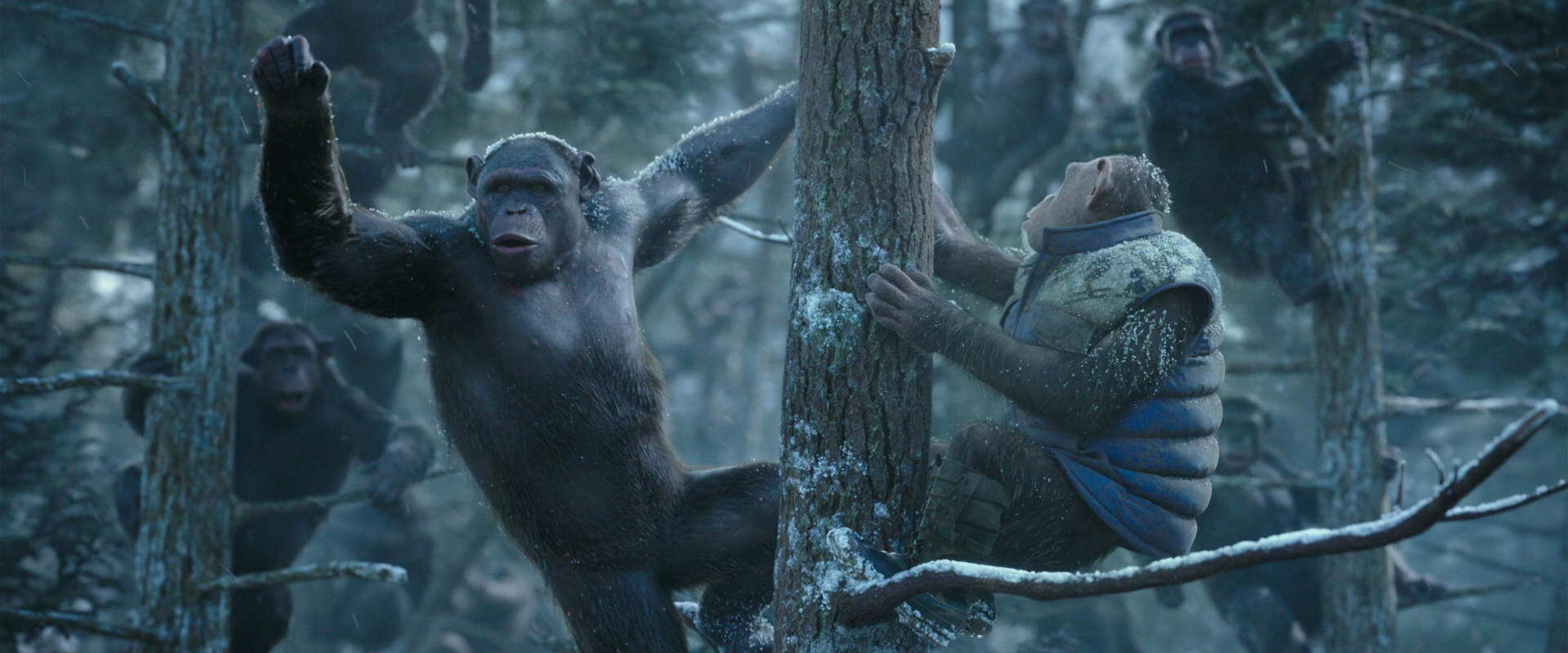 War for the Planet of the Apes (2017) movie still 14902