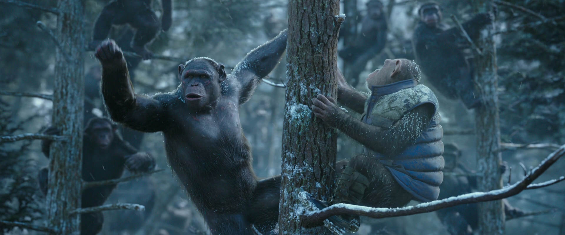 War for the Planet of the Apes (2017) HD screenshot 14903