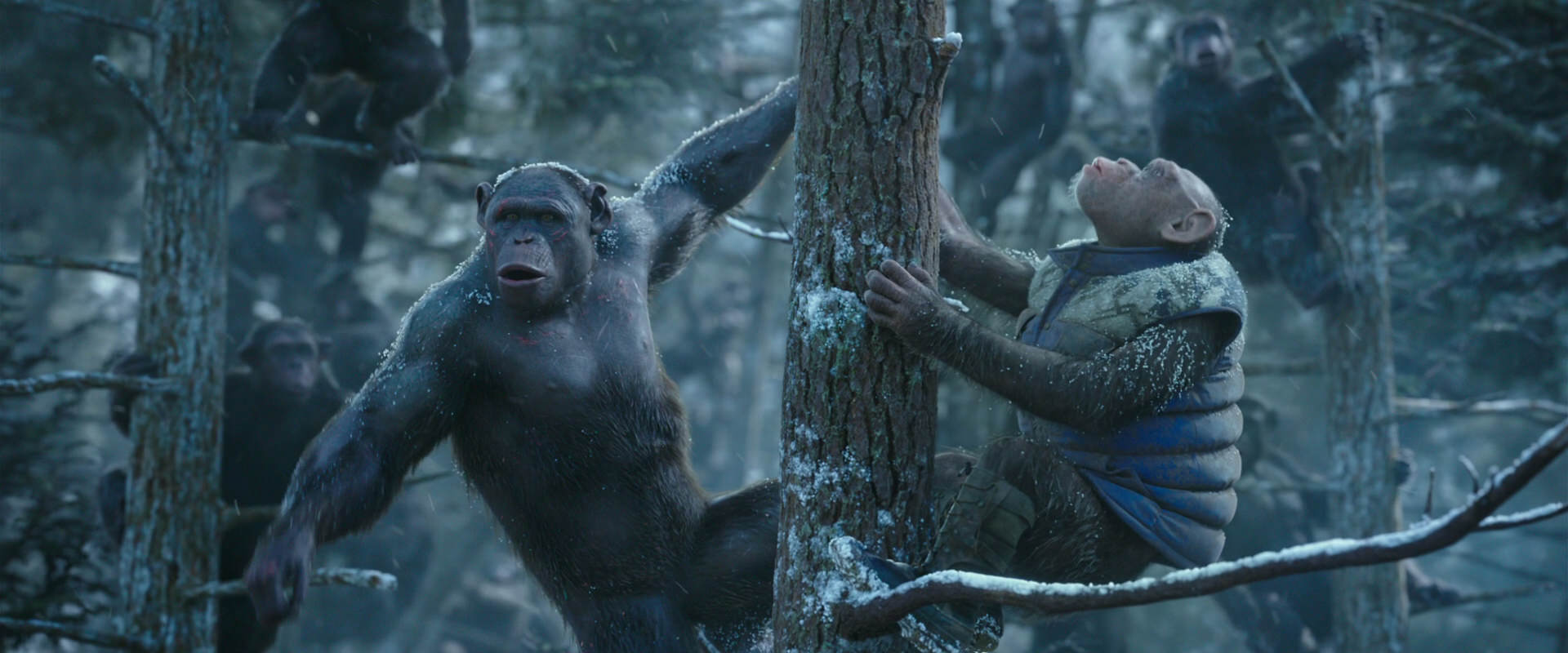 War for the Planet of the Apes (2017) screencap 14904