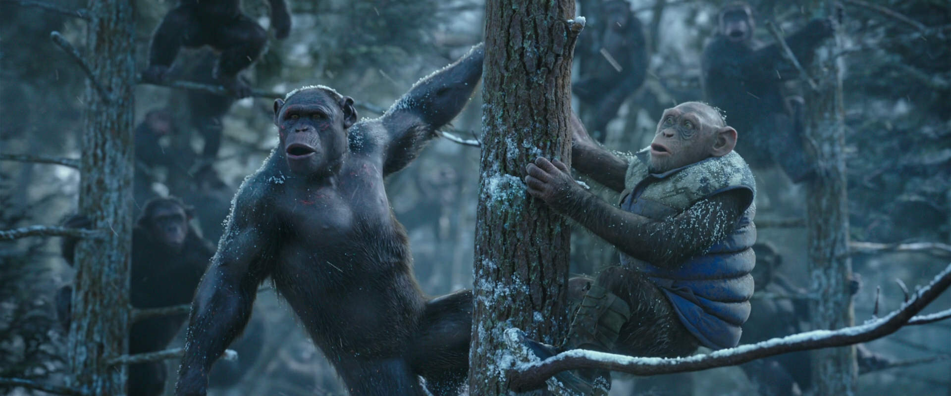 War for the Planet of the Apes (2017) movie still 14905