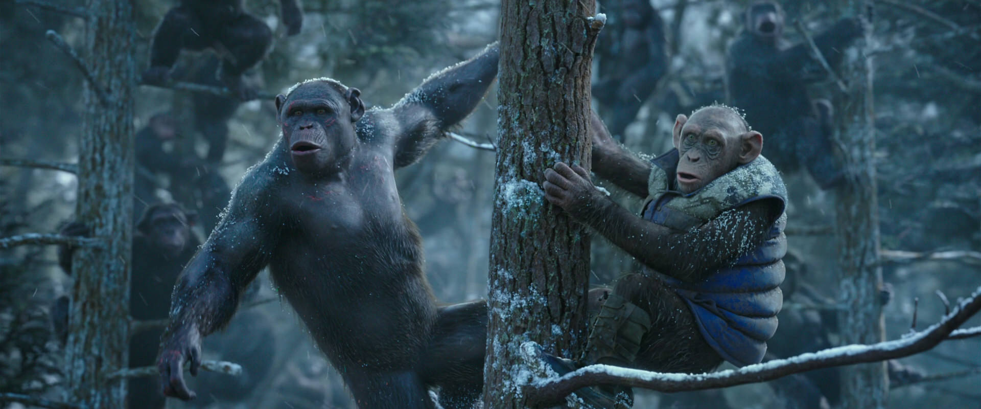 War for the Planet of the Apes (2017) HD screenshot 14906