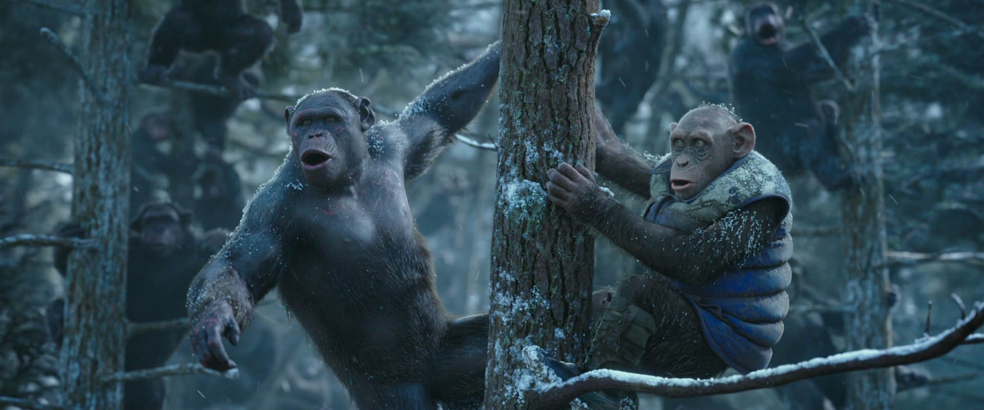War for the Planet of the Apes (2017) screencap 14907
