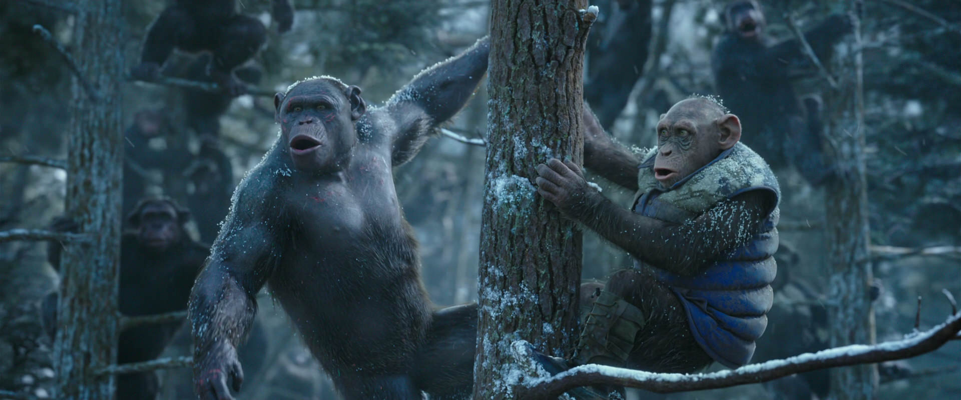 War for the Planet of the Apes (2017) movie still 14908