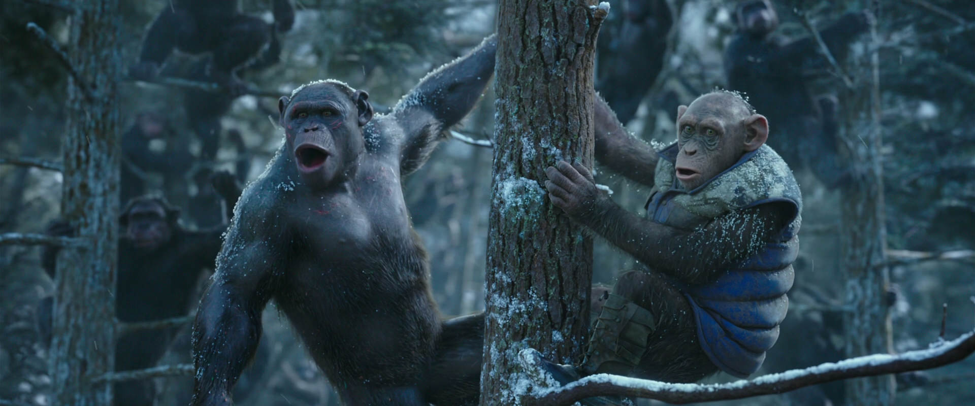 War for the Planet of the Apes (2017) HD screenshot 14909