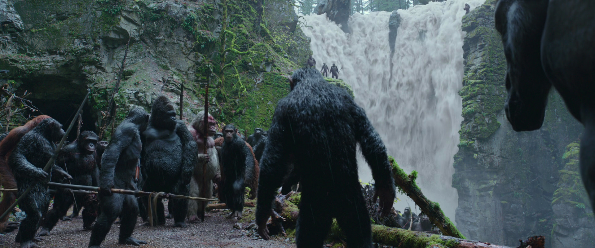 War for the Planet of the Apes (2017) screencap 1491