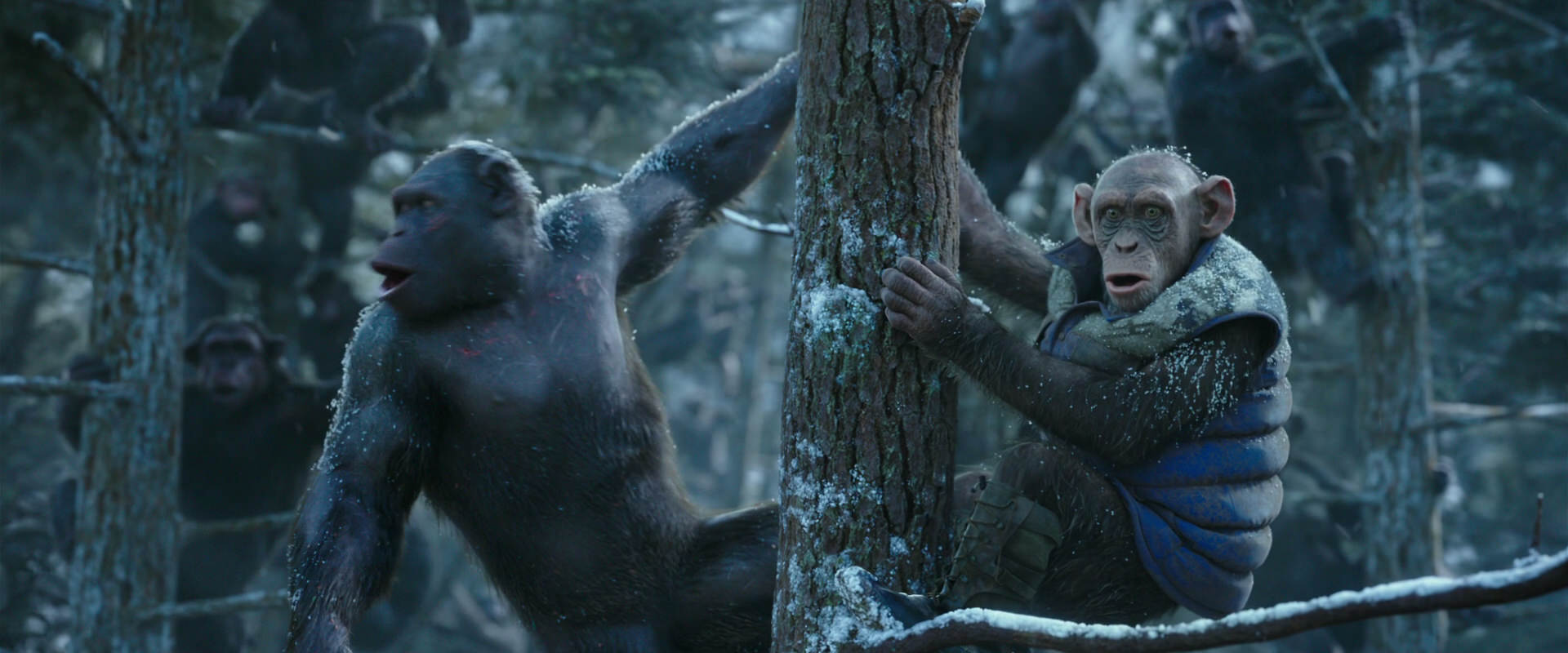 War for the Planet of the Apes (2017) screencap 14910