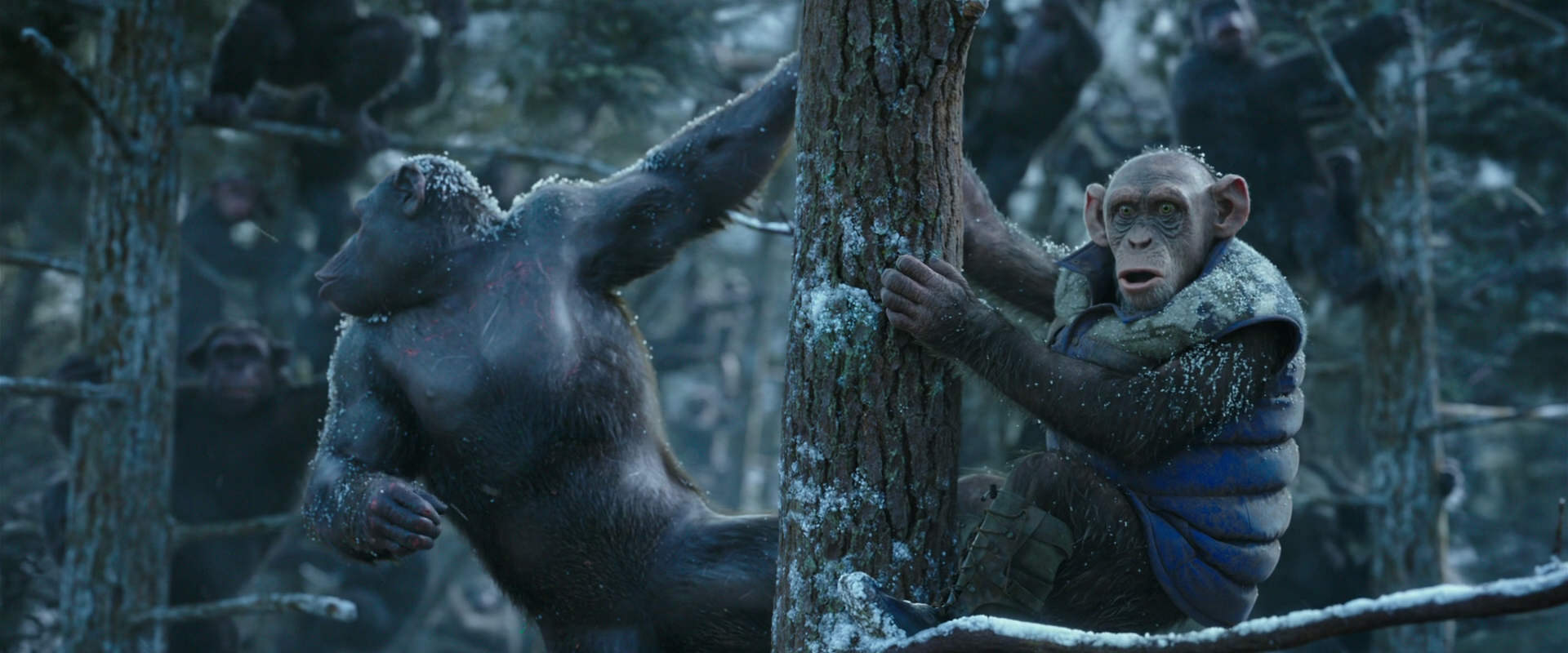 War for the Planet of the Apes (2017) movie still 14911