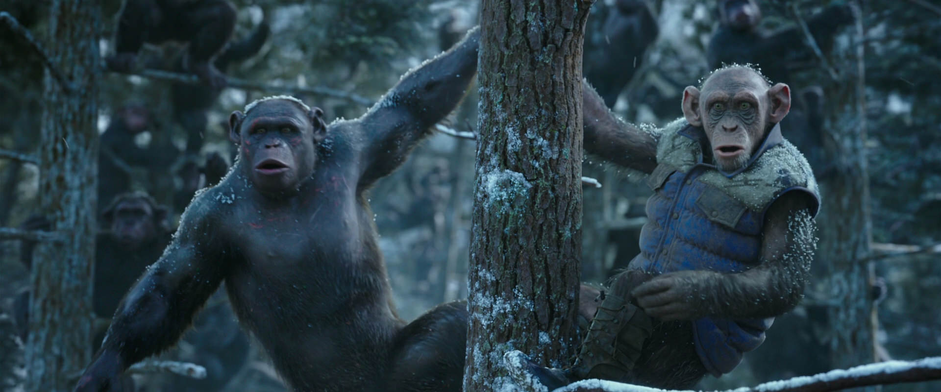 War for the Planet of the Apes (2017) screencap 14913