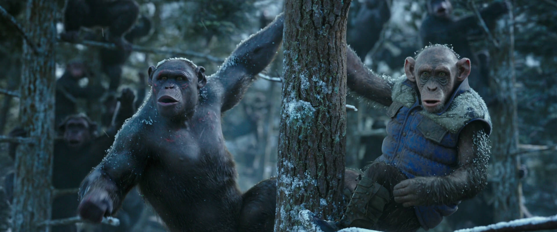 War for the Planet of the Apes (2017) movie still 14914