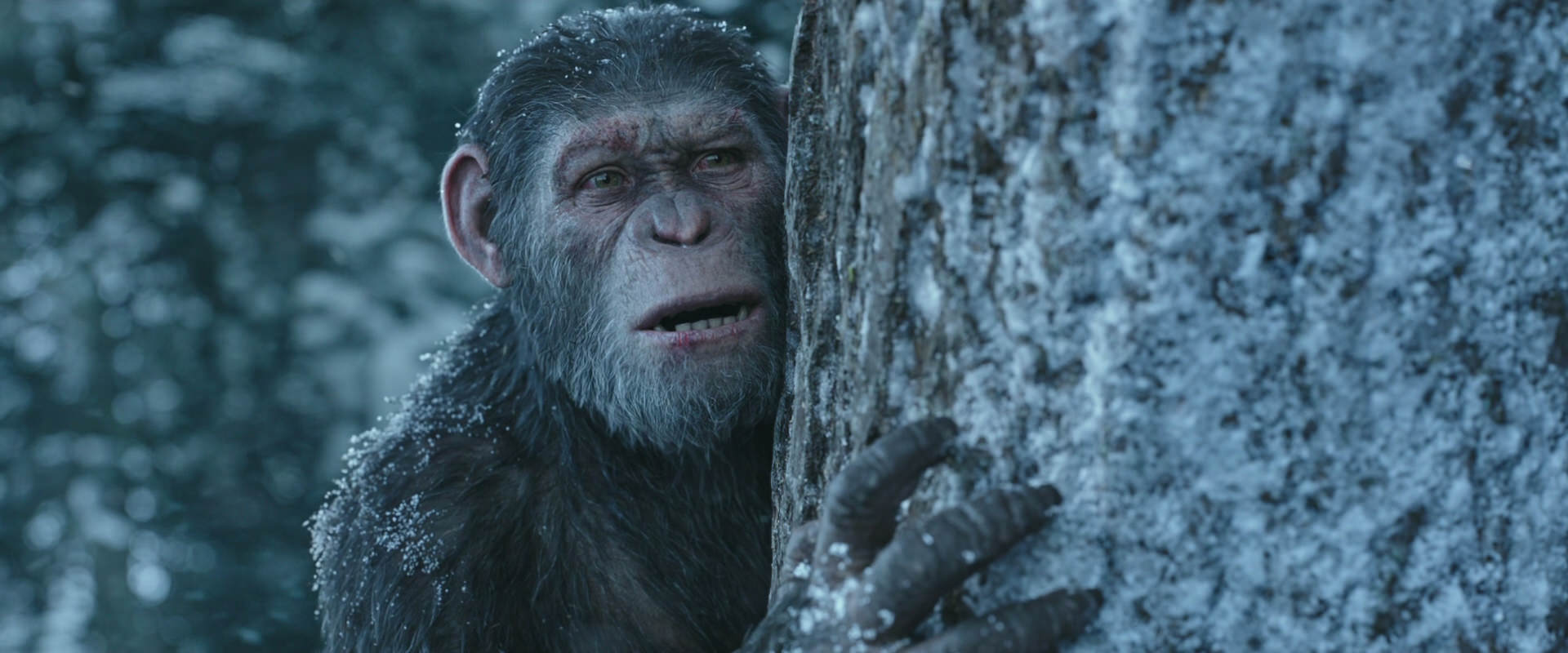 War for the Planet of the Apes (2017) HD screenshot 14915