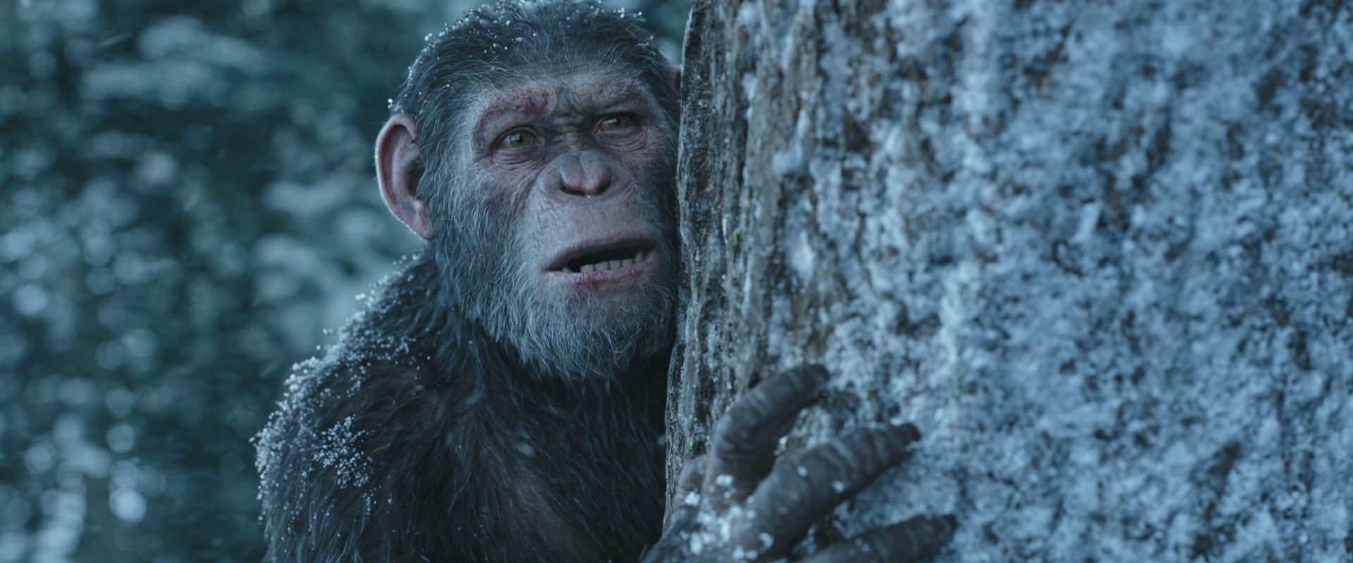 War for the Planet of the Apes (2017) screencap 14916
