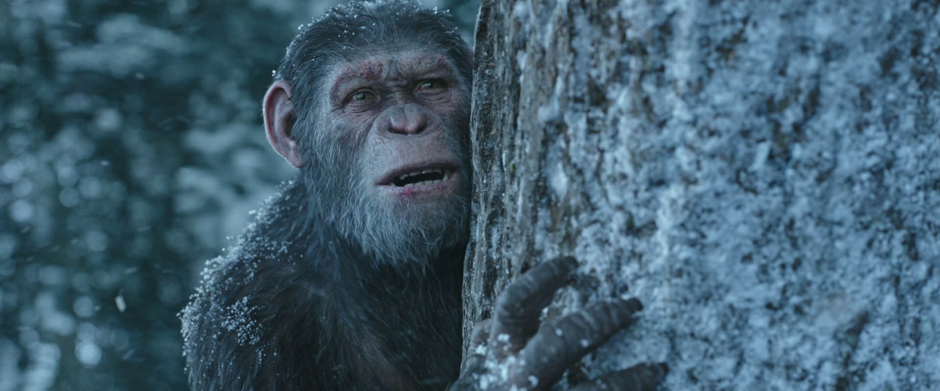 War for the Planet of the Apes (2017) movie still 14917