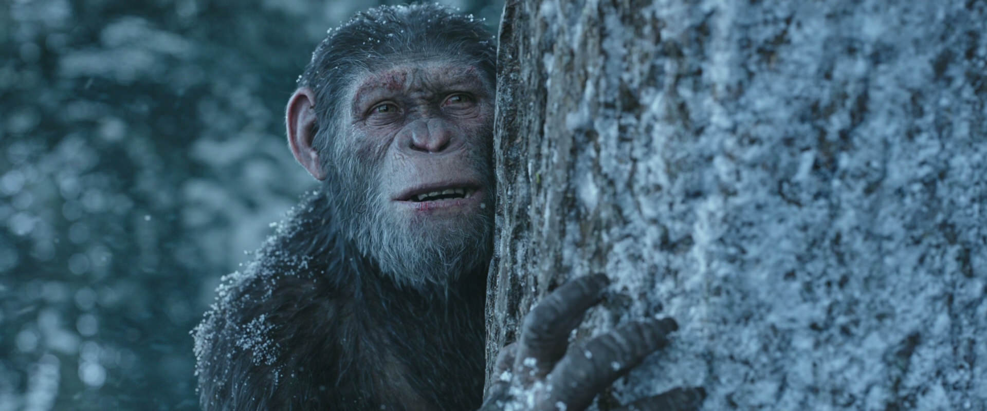 War for the Planet of the Apes (2017) HD screenshot 14918