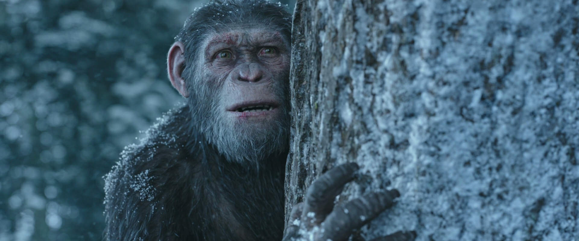 War for the Planet of the Apes (2017) screencap 14919