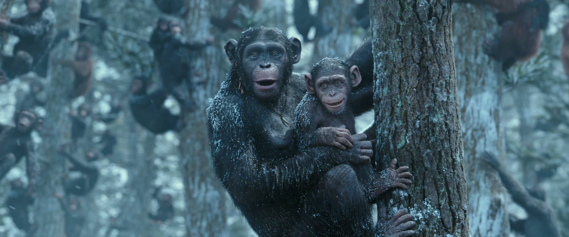 War for the Planet of the Apes (2017) movie still 14920
