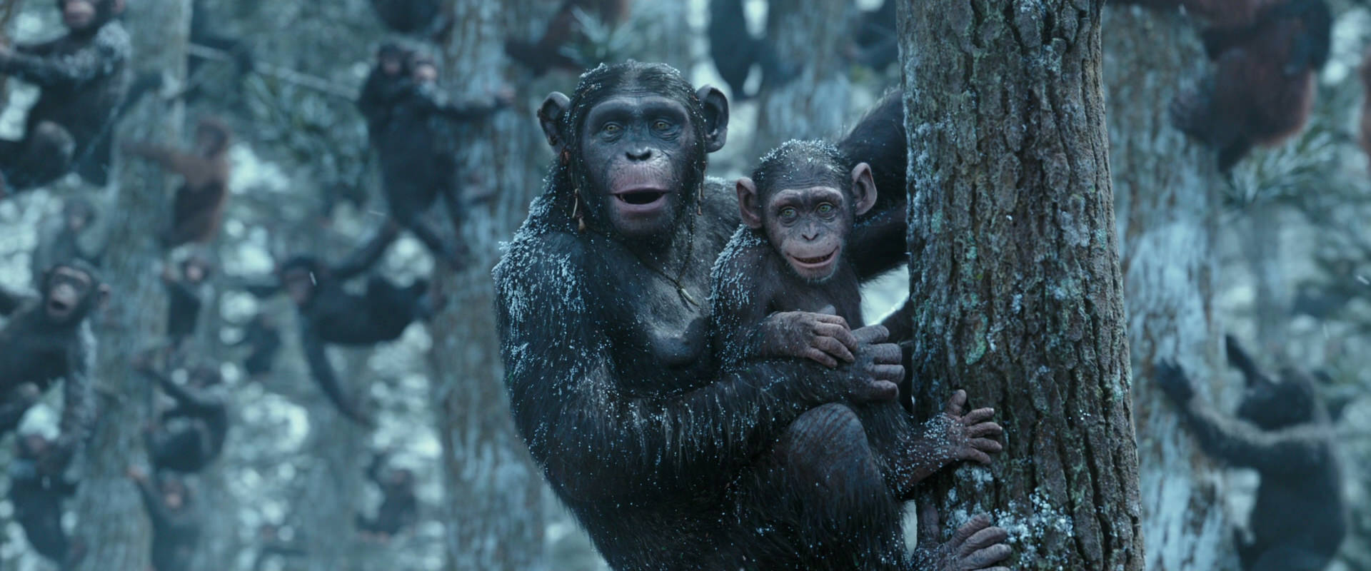 War for the Planet of the Apes (2017) HD screenshot 14921