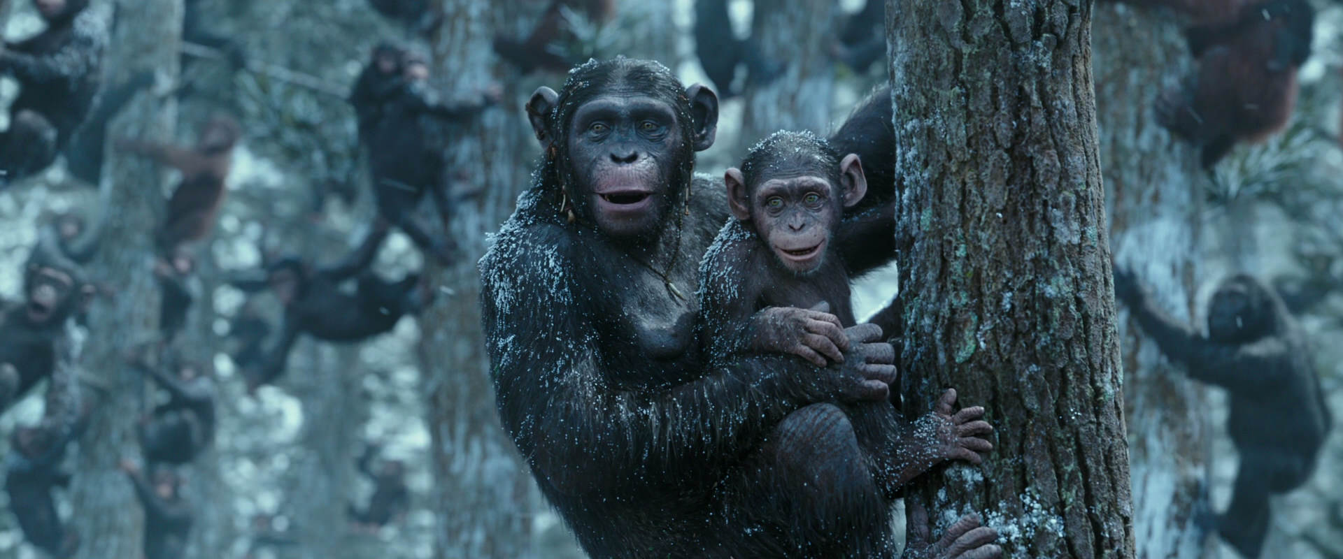 War for the Planet of the Apes (2017) screencap 14922
