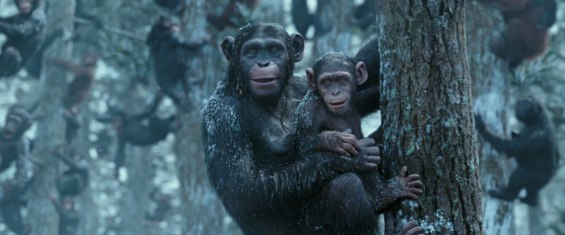 War for the Planet of the Apes (2017) movie still 14923