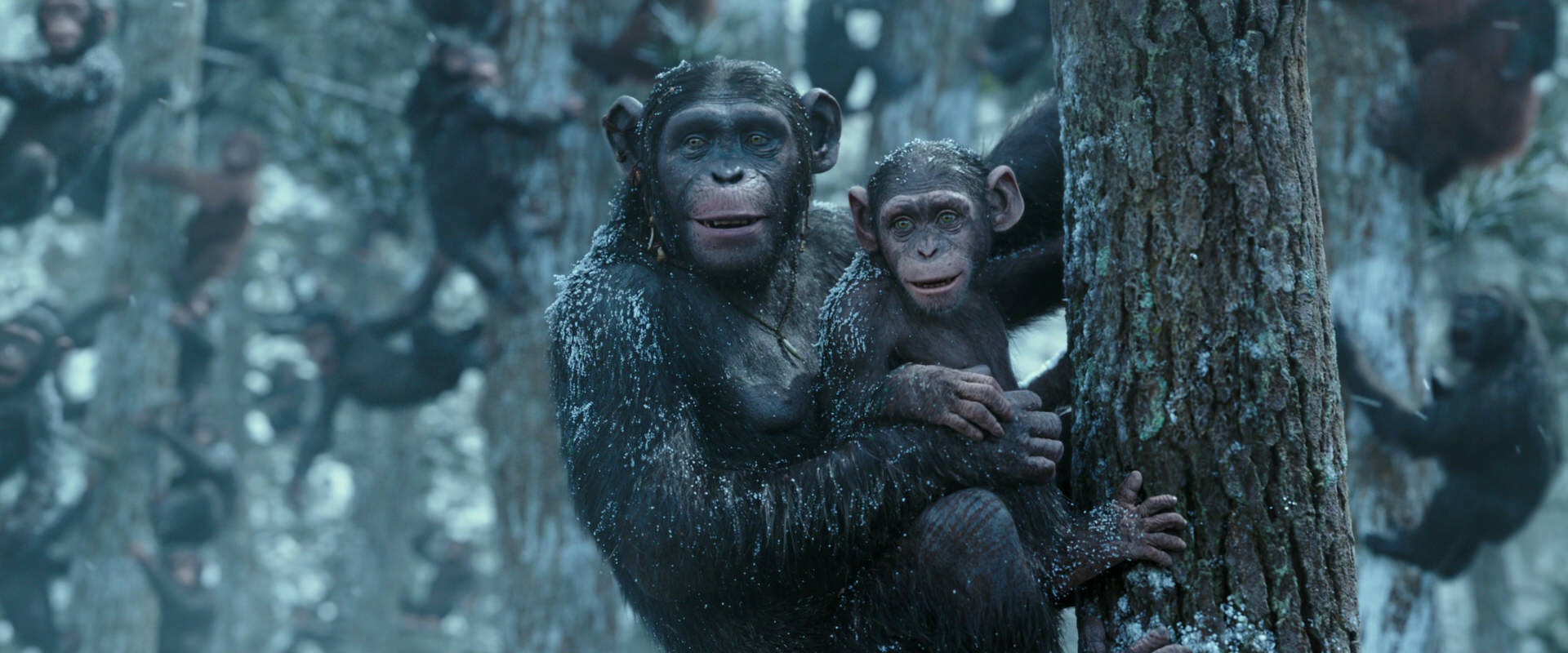War for the Planet of the Apes (2017) HD screenshot 14924