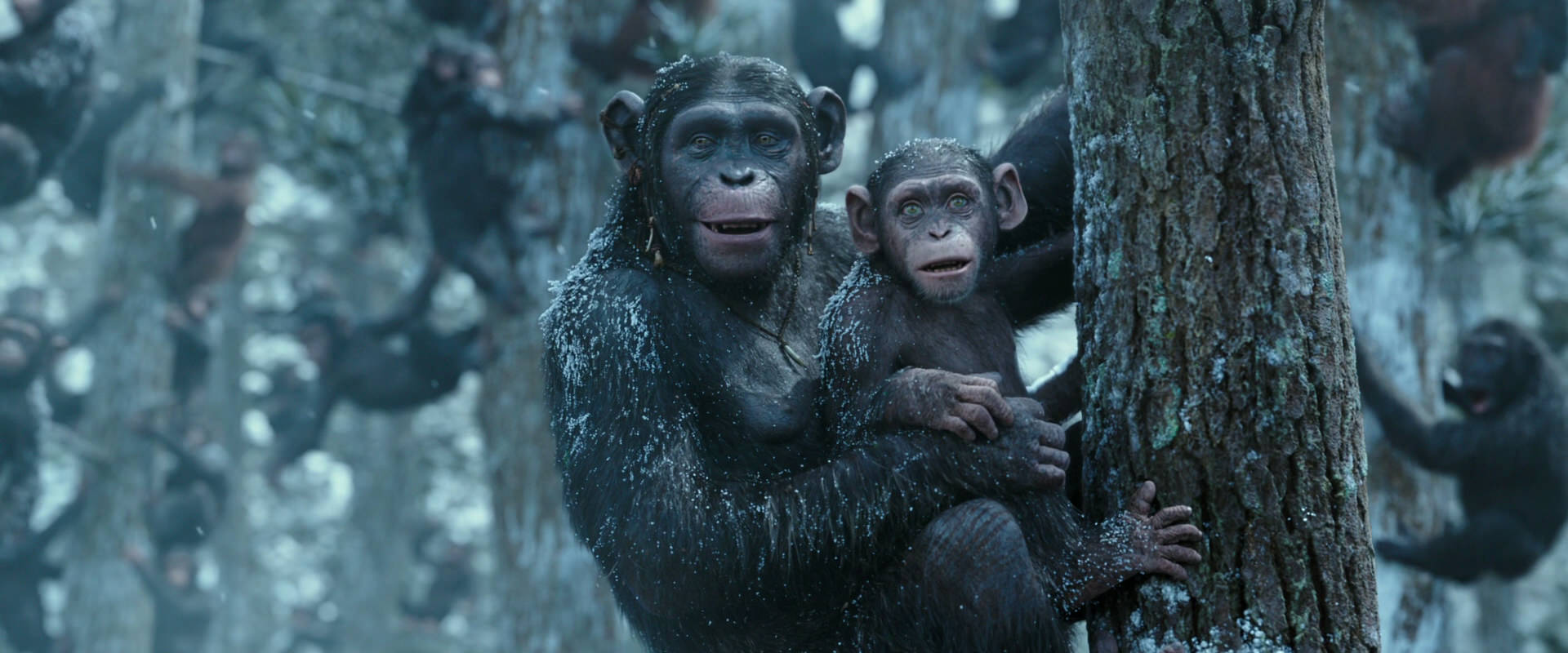 War for the Planet of the Apes (2017) screencap 14925