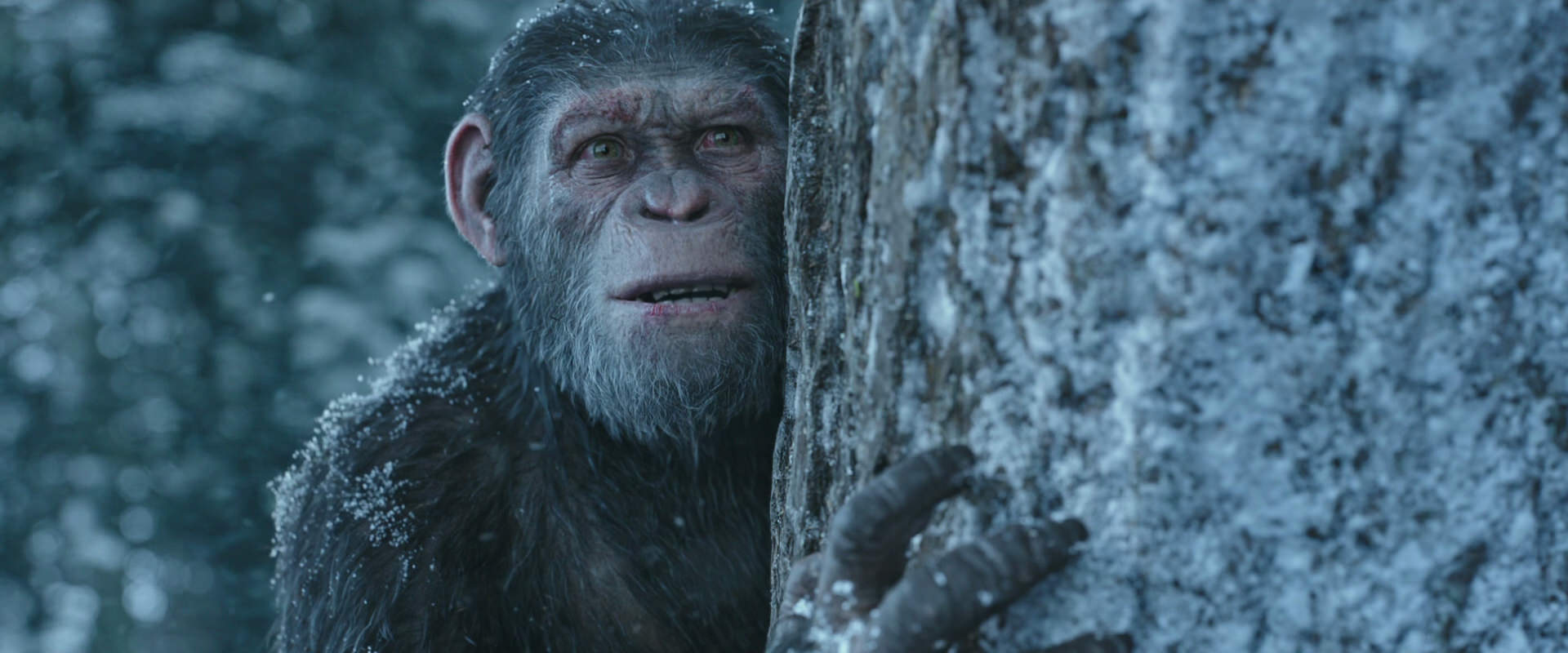 War for the Planet of the Apes (2017) movie still 14938