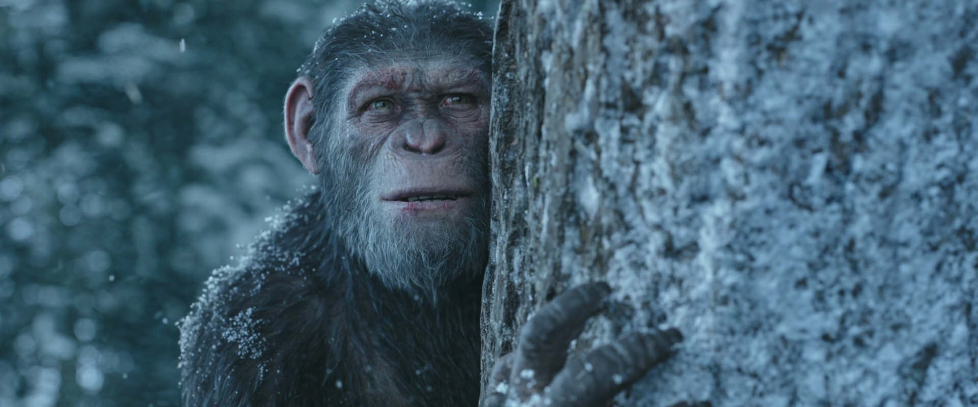 War for the Planet of the Apes (2017) HD screenshot 14939