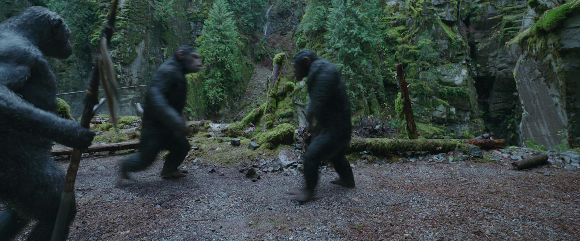 War for the Planet of the Apes (2017) screencap 1494