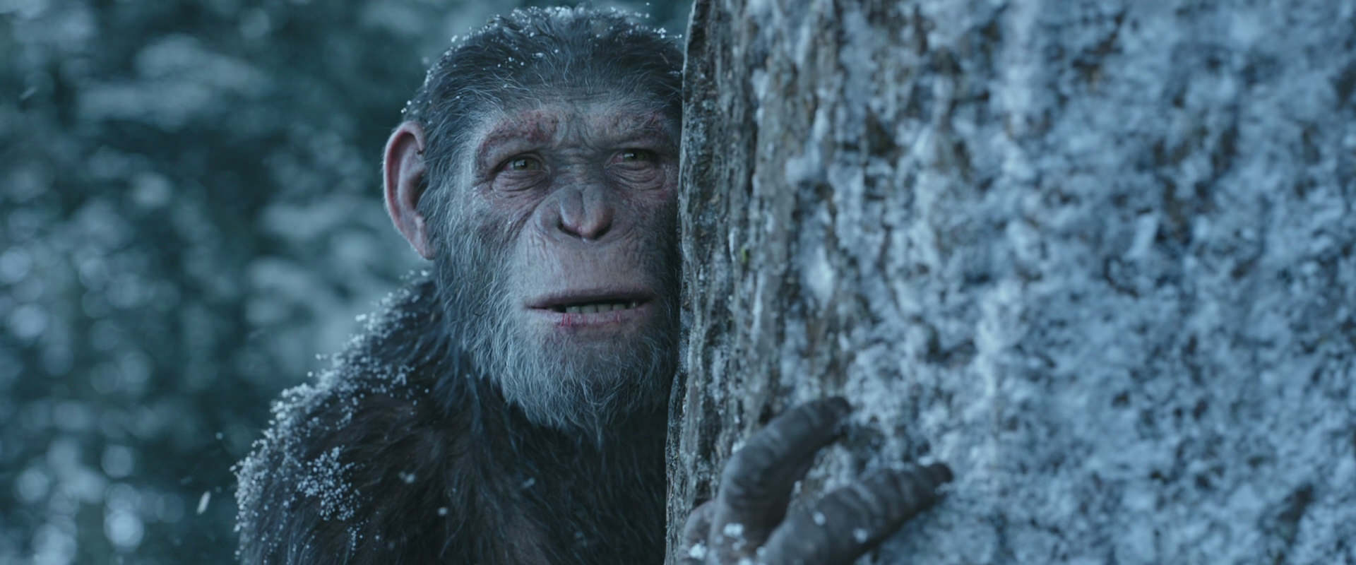 War for the Planet of the Apes (2017) screencap 14940