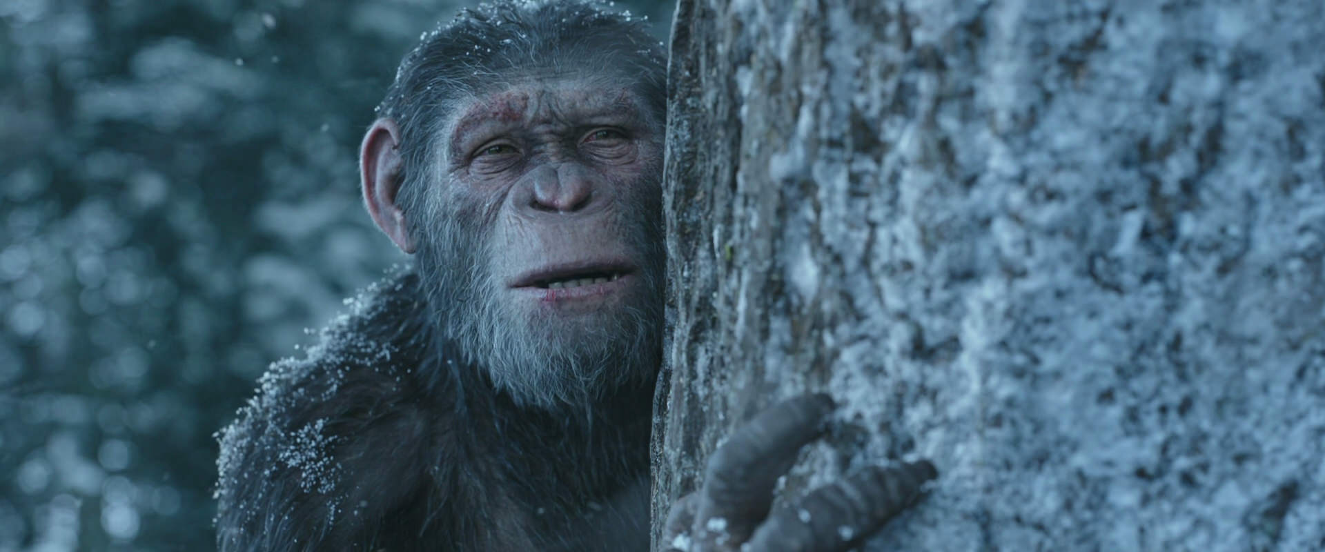 War for the Planet of the Apes (2017) movie still 14941