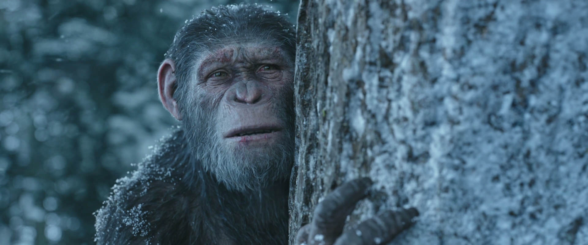 War for the Planet of the Apes (2017) HD screenshot 14942