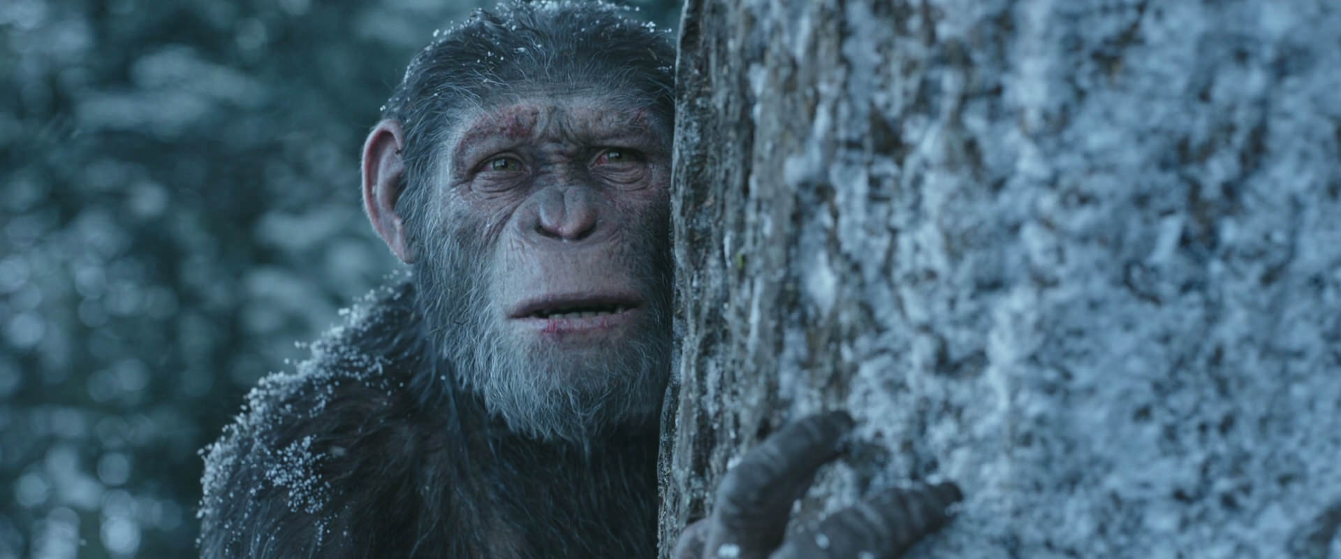 War for the Planet of the Apes (2017) screencap 14943