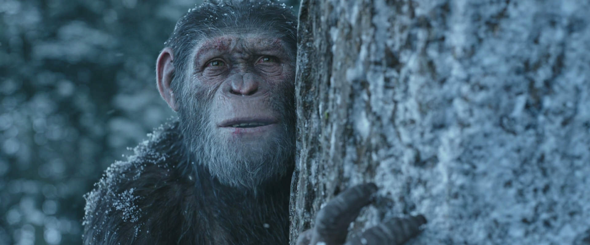 War for the Planet of the Apes (2017) movie still 14944