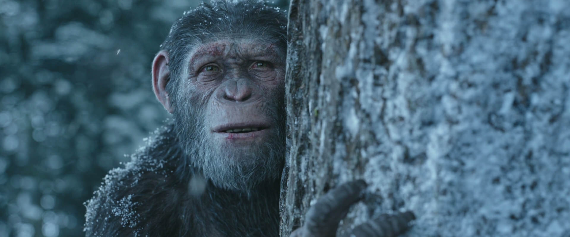 War for the Planet of the Apes (2017) HD screenshot 14945