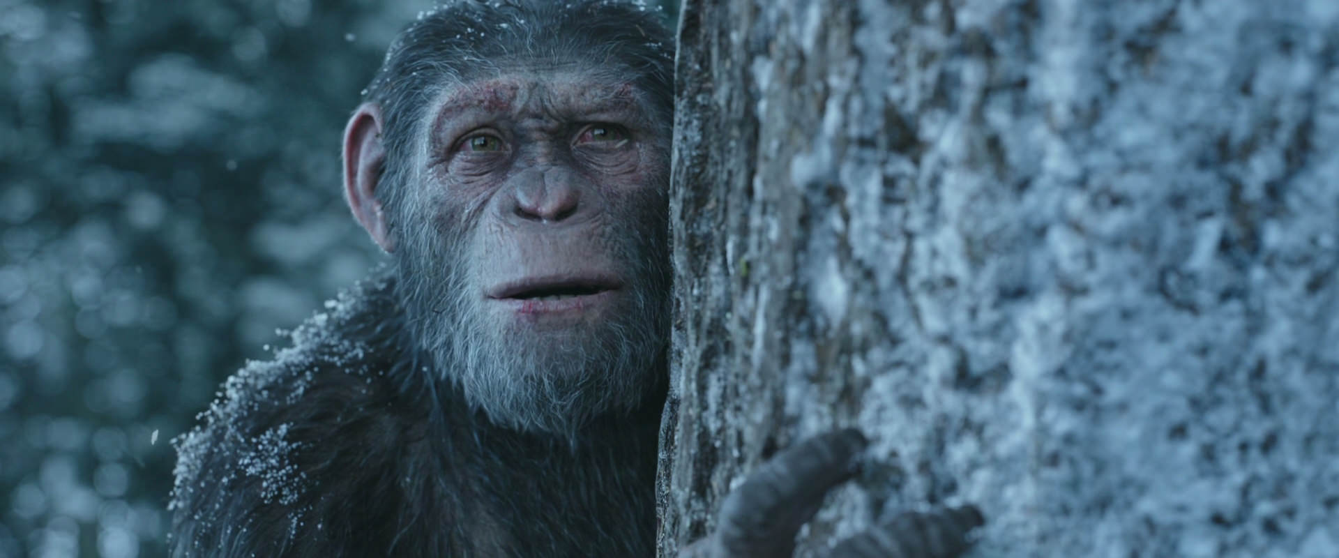 War for the Planet of the Apes (2017) screencap 14946