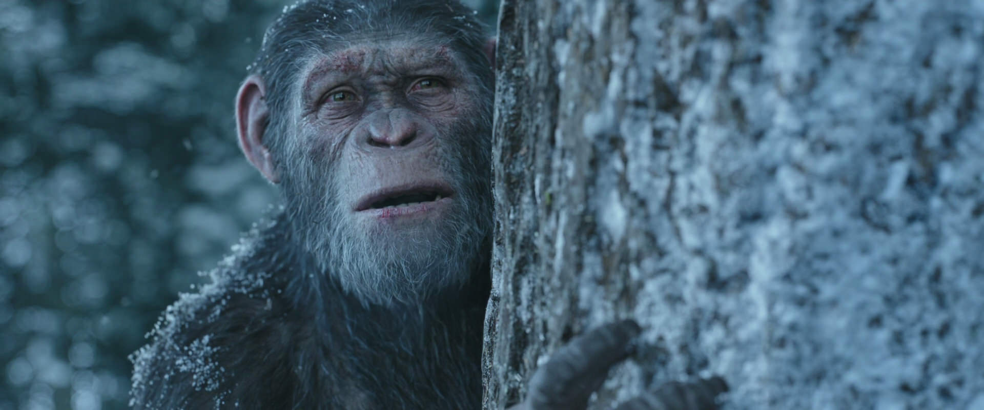 War for the Planet of the Apes (2017) movie still 14947