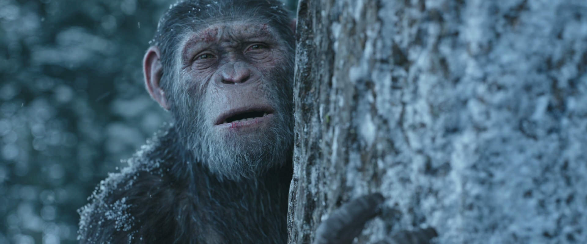 War for the Planet of the Apes (2017) HD screenshot 14948