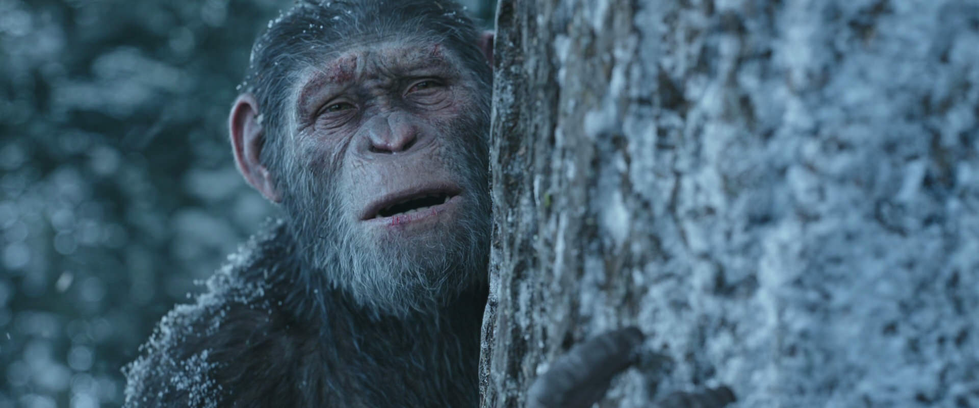 War for the Planet of the Apes (2017) screencap 14949