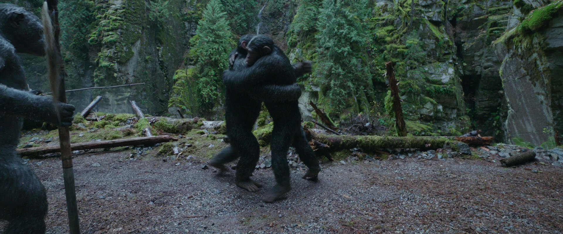 War for the Planet of the Apes (2017) movie still 1495