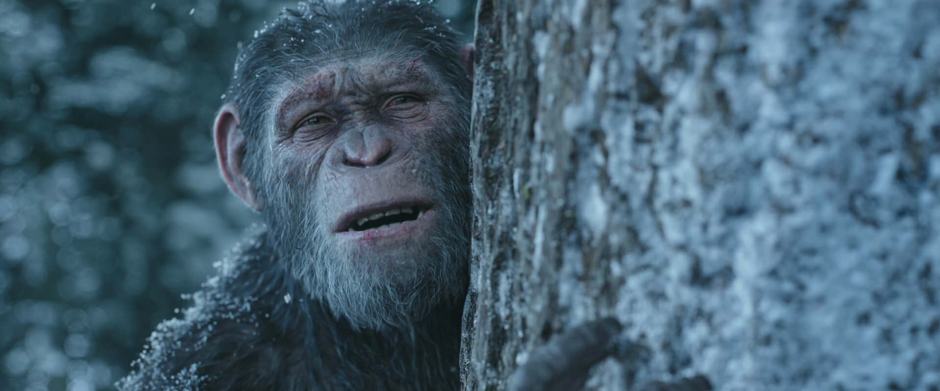 War for the Planet of the Apes (2017) movie still 14950